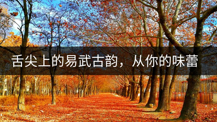 舌尖上的易武古韻，從你的味蕾路過