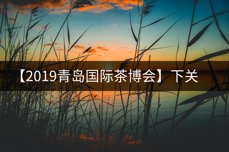 【2019青島國際茶博會】下關(guān)沱茶攜新品C位亮相！