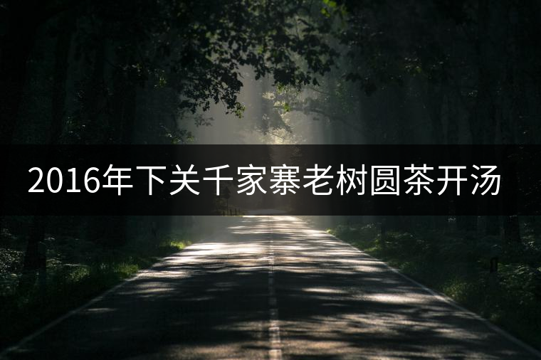 2016年下關(guān)千家寨老樹(shù)圓茶開(kāi)湯品鑒 2016年下關(guān)千家寨老樹(shù)圓茶開(kāi)湯品鑒