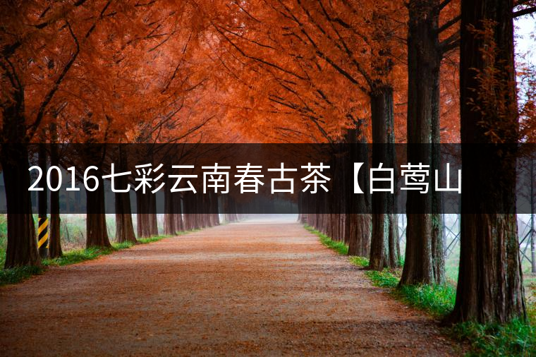 2016七彩云南春古茶【白鶯山】透過茶湯“探訪”佛茶圣地