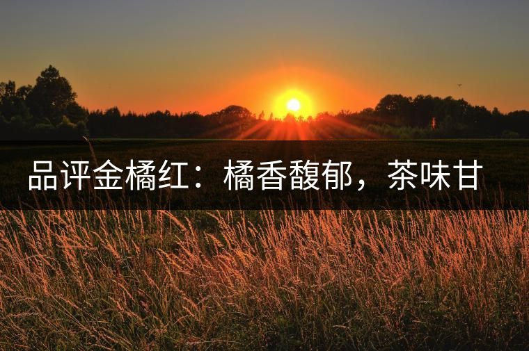 品評(píng)金橘紅：橘香馥郁，茶味甘醇，匠心拼配，臻于至善