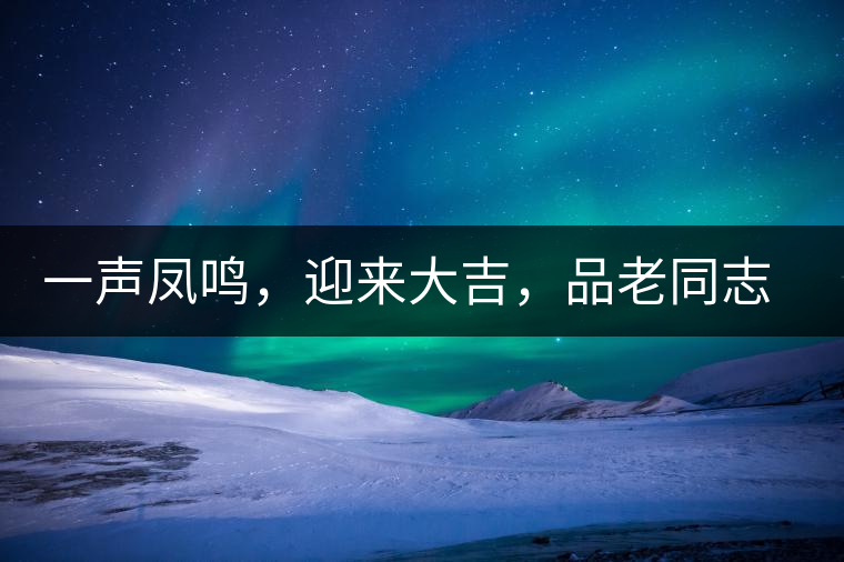 一聲鳳鳴，迎來大吉，品老同志鳳鳴吉至