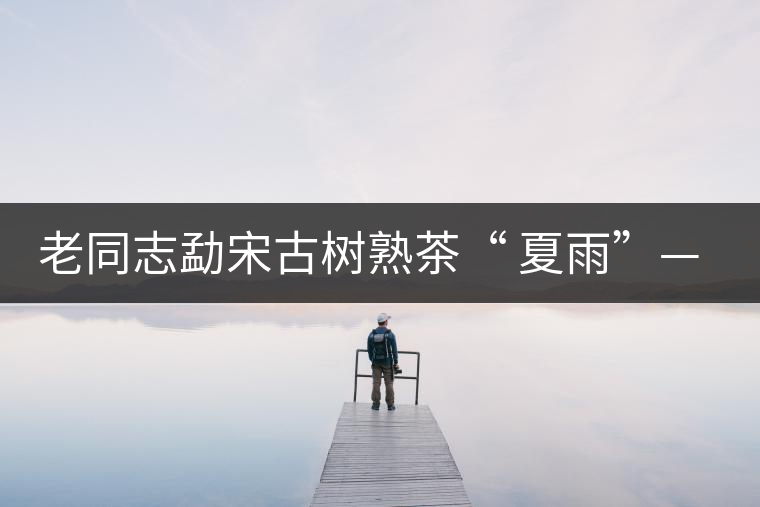 老同志勐宋古樹熟茶“ 夏雨”— 飲茶伴夏，只為您！