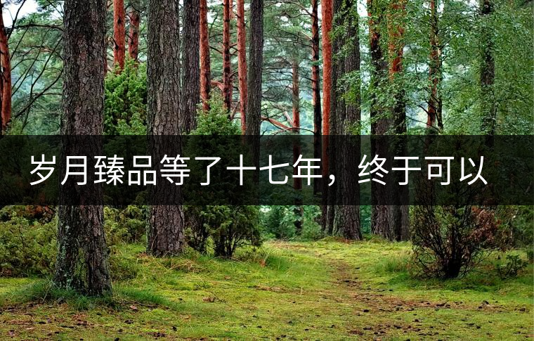 歲月臻品等了十七年，終于可以品味歲月