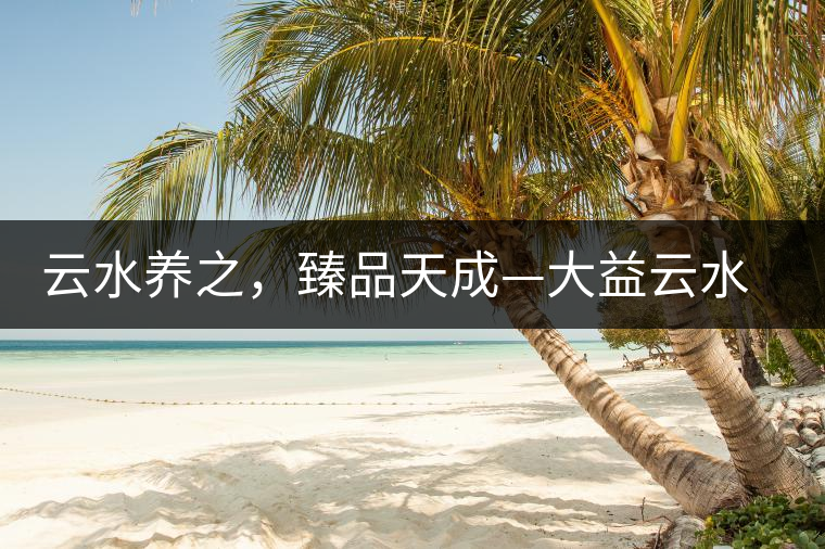 云水養(yǎng)之，臻品天成—大益云水臻開湯