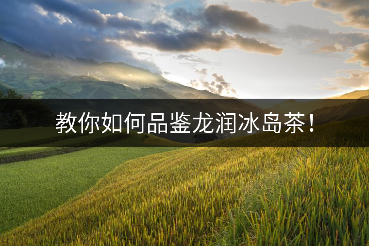 教你如何品鑒龍潤冰島茶！
