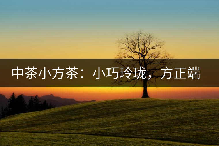 中茶小方茶：小巧玲瓏，方正端莊