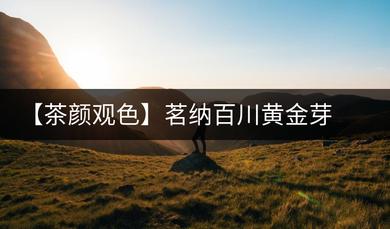 【茶顏觀(guān)色】茗納百川黃金芽之美