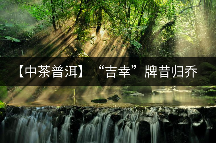 【中茶普洱】“吉幸”牌昔歸喬木圓茶品鑒 【中茶普洱】“吉幸”牌昔歸喬木圓茶品鑒