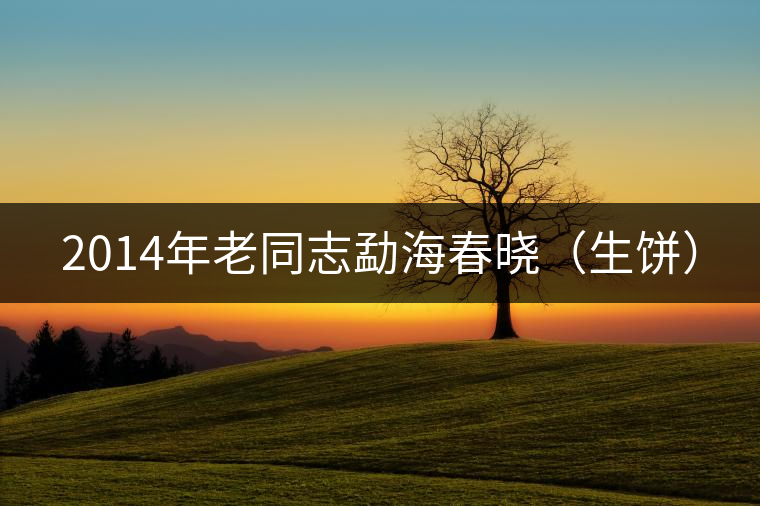 2014年老同志勐海春曉（生餅）