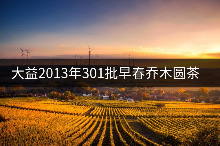 大益2013年301批早春?jiǎn)棠緢A茶開湯品鑒 大益2013年301批早春?jiǎn)棠緢A茶開湯品鑒