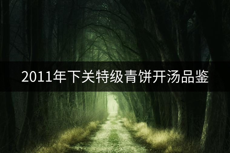 2011年下關(guān)特級(jí)青餅開(kāi)湯品鑒 2011年下關(guān)特級(jí)青餅開(kāi)湯品鑒