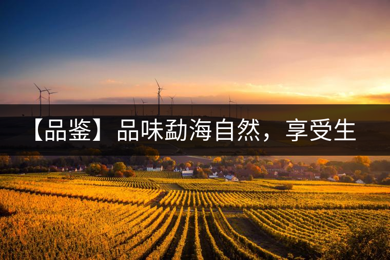 【品鑒】品味勐海自然，享受生活醇香