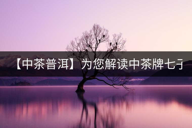 【中茶普洱】為您解讀中茶牌七子餅茶—7451（熟茶）