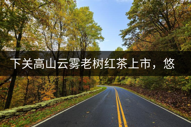 下關(guān)高山云霧老樹紅茶上市，悠悠春茶香