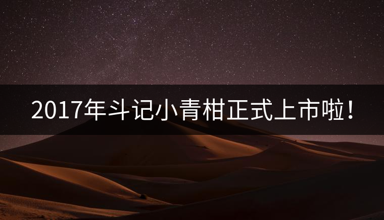 2017年斗記小青柑正式上市啦！