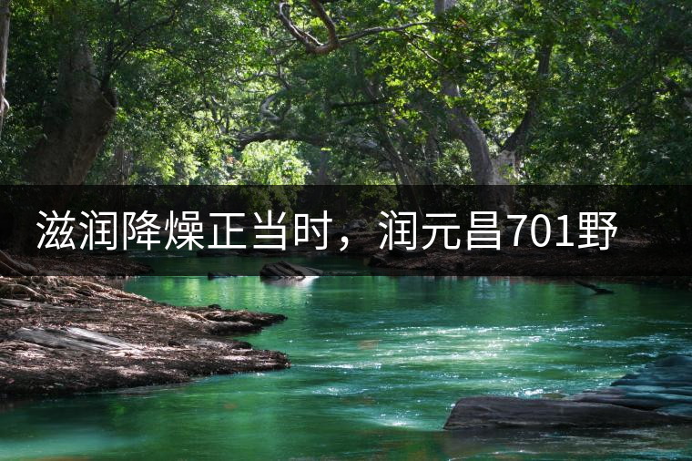 滋潤降燥正當(dāng)時，潤元昌701野生古樹紅茶驚鴻再現(xiàn)