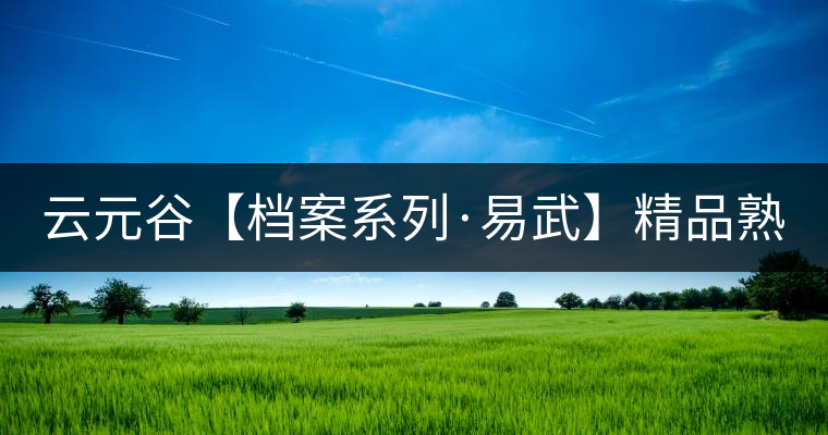 云元谷【檔案系列·易武】精品熟茶，精裝上市！