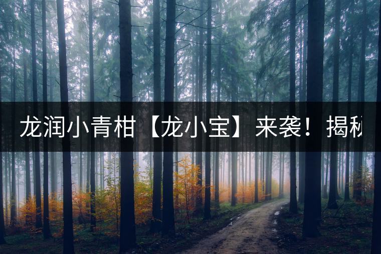 龍潤小青柑【龍小寶】來襲！揭秘它的前半生！