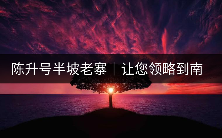 陳升號半坡老寨｜讓您領(lǐng)略到南糯山大樹茶口感的地道！