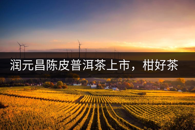 潤元昌陳皮普洱茶上市，柑好茶更好，精品普洱茶