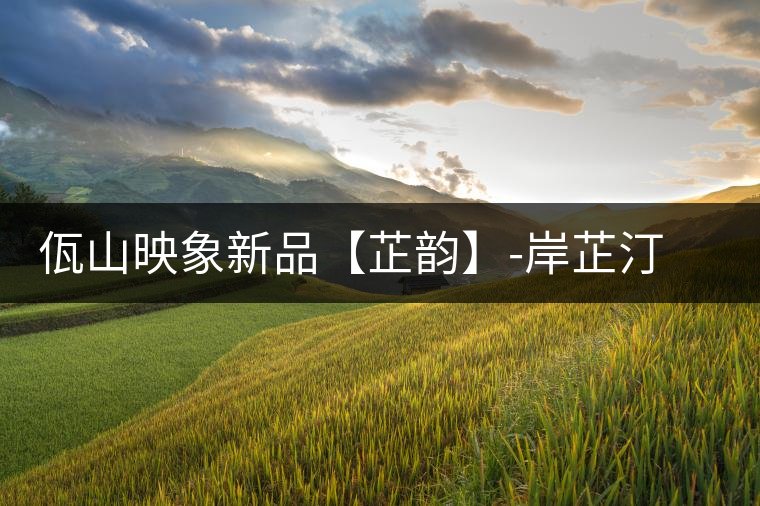 佤山映象新品【芷韻】-岸芷汀蘭，出一杯甘厚普洱