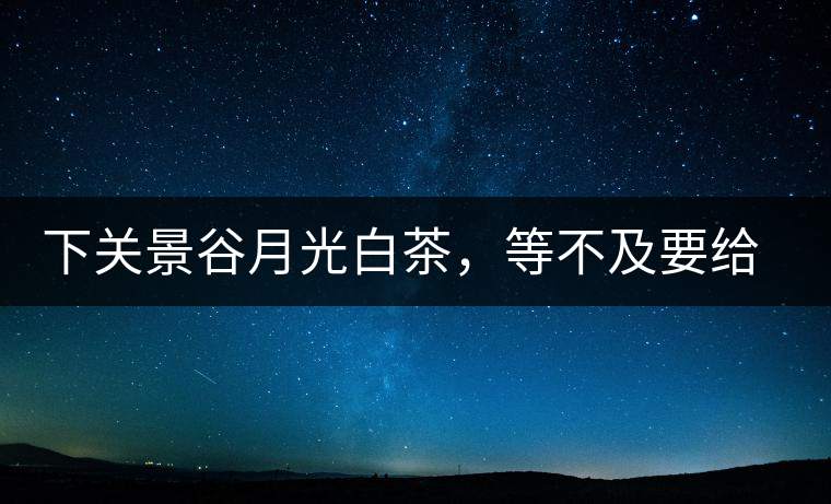 下關(guān)景谷月光白茶，等不及要給你的思念