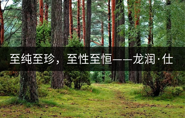 至純至珍，至性至恒——龍潤(rùn)·仕通茶新上市！