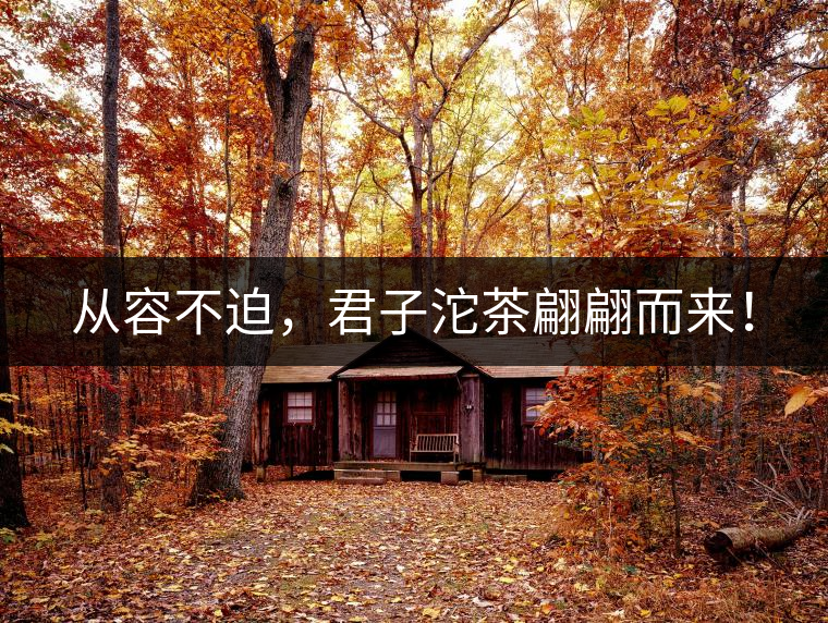 從容不迫，君子沱茶翩翩而來！