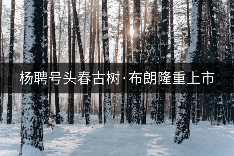 楊聘號頭春古樹·布朗隆重上市