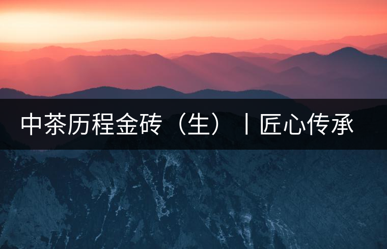 中茶歷程金磚（生）丨匠心傳承，精品迭出