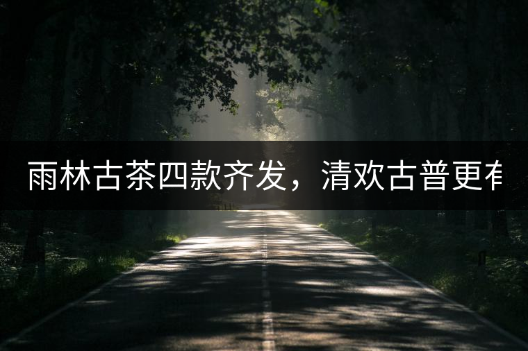 雨林古茶四款齊發(fā)，清歡古普更有味！
