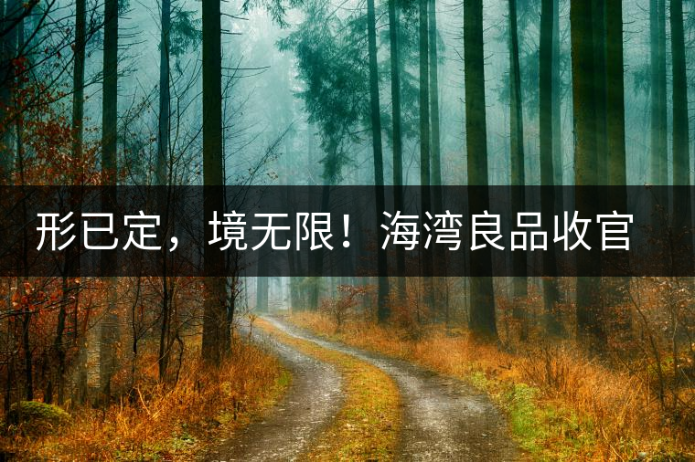 形已定，境無限！海灣良品收官季『良禪品』