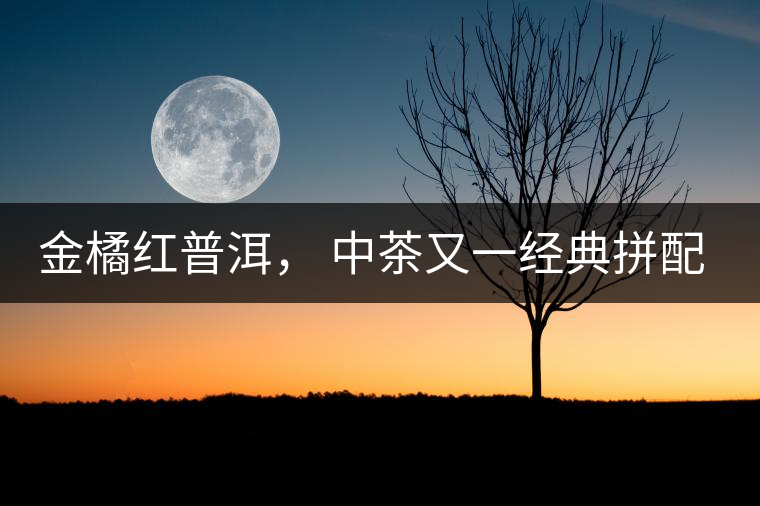 金橘紅普洱， 中茶又一經(jīng)典拼配力作，值得期待！