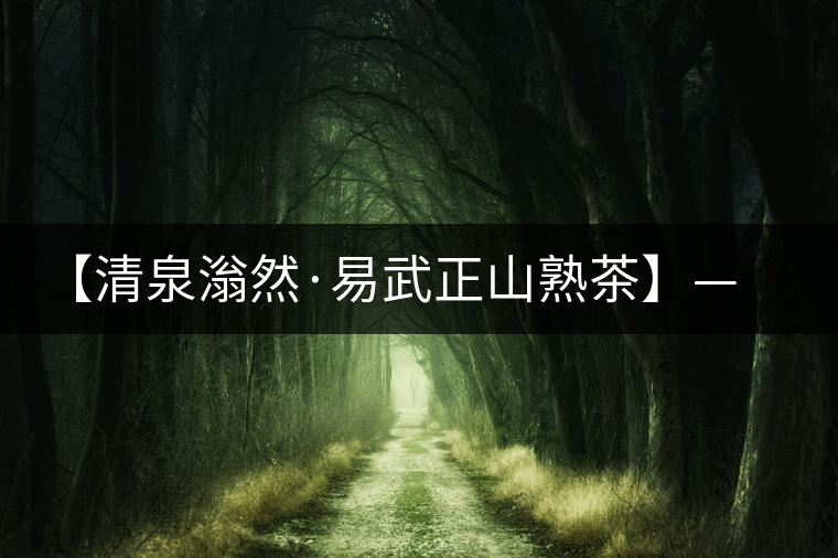 【清泉滃然·易武正山熟茶】——熨帖冬季的寒冷，來的正是時(shí)候！