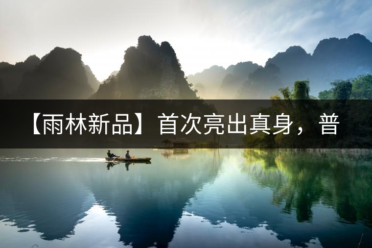 【雨林新品】首次亮出真身，普洱茶史上第一件新班章！