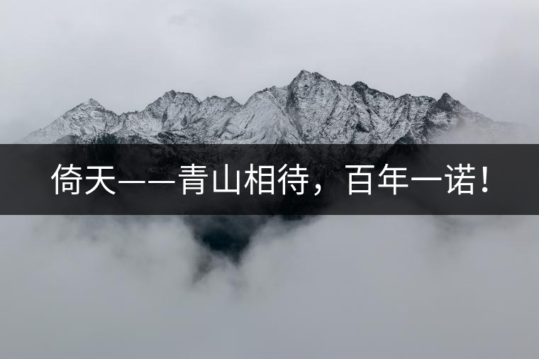 倚天——青山相待，百年一諾！