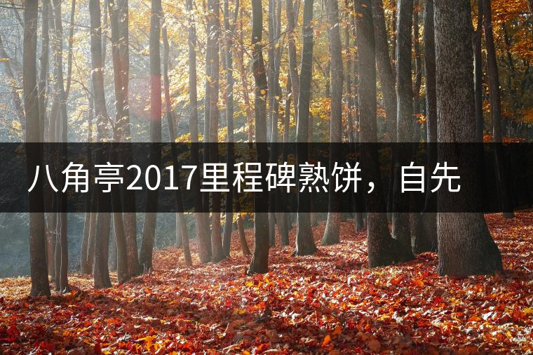 八角亭2017里程碑熟餅，自先發(fā)酵而后愛人