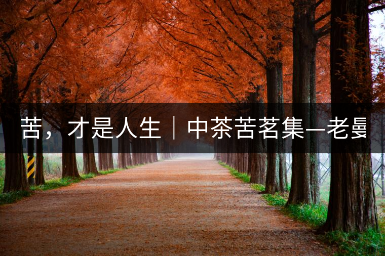 苦，才是人生｜中茶苦茗集—老曼峨普洱茶（生茶）