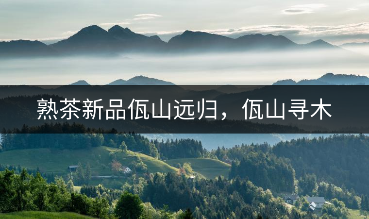 熟茶新品佤山遠(yuǎn)歸，佤山尋木