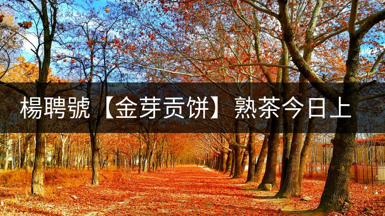 楊聘號【金芽貢餅】熟茶今日上市 楊聘號【金芽貢餅】熟茶今日上市