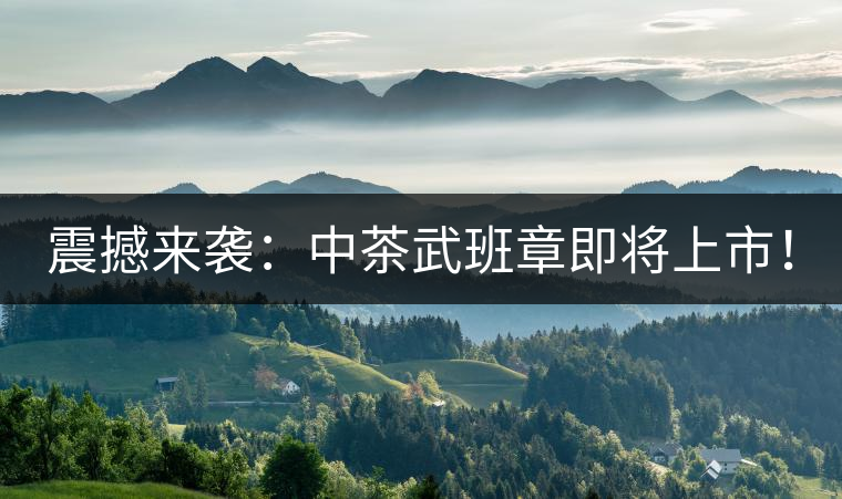 震撼來襲：中茶武班章即將上市！