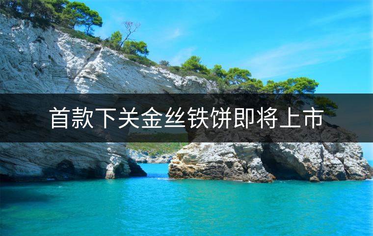 首款下關(guān)金絲鐵餅即將上市 首款下關(guān)金絲鐵餅即將上市