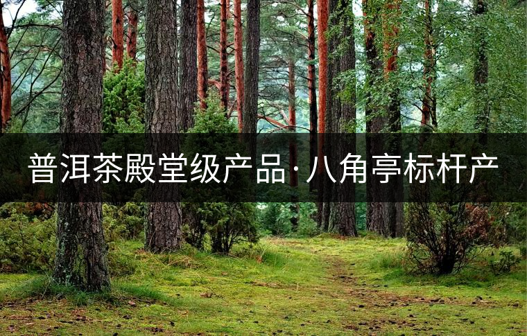 普洱茶殿堂級產(chǎn)品·八角亭標(biāo)桿產(chǎn)品〡早春銀毫（建國66周年紀(jì)念版）摯熱上市