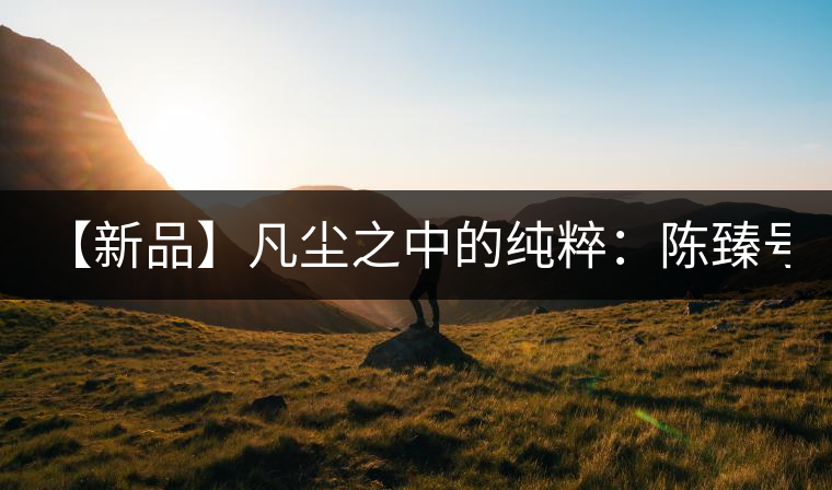 【新品】凡塵之中的純粹：陳臻號(hào)2016年精品青餅即將上市！