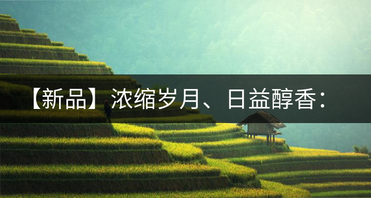 【新品】濃縮歲月、日益醇香：陳臻號陳品熟餅即將上市！