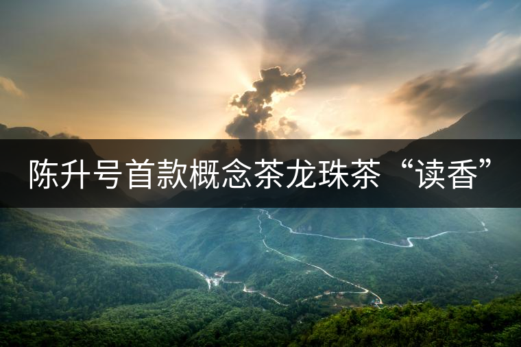 陳升號首款概念茶龍珠茶“讀香” 陳升號首款概念茶龍珠茶“讀香”