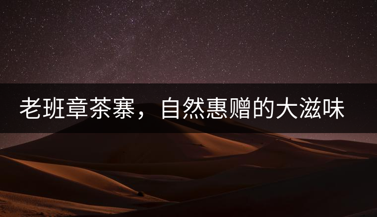 老班章茶寨，自然惠贈(zèng)的大滋味，大滿足