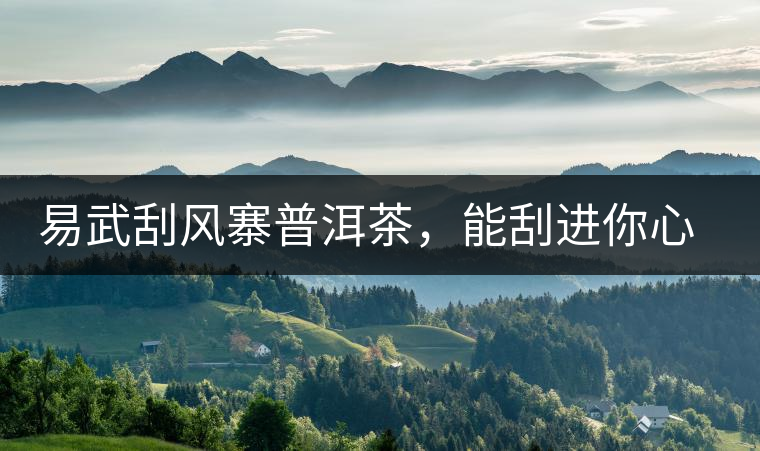 易武刮風(fēng)寨普洱茶，能刮進(jìn)你心中的一道風(fēng)