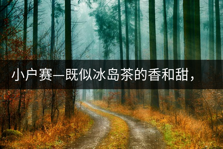 小戶(hù)賽—既似冰島茶的香和甜，又有其獨(dú)特的純和凈